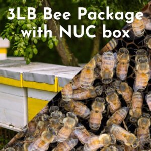 3lb bee package with nuc