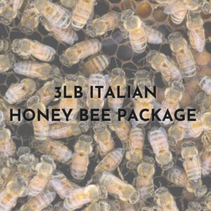 3LB ITALIAN HONEY BEE PACKAGE