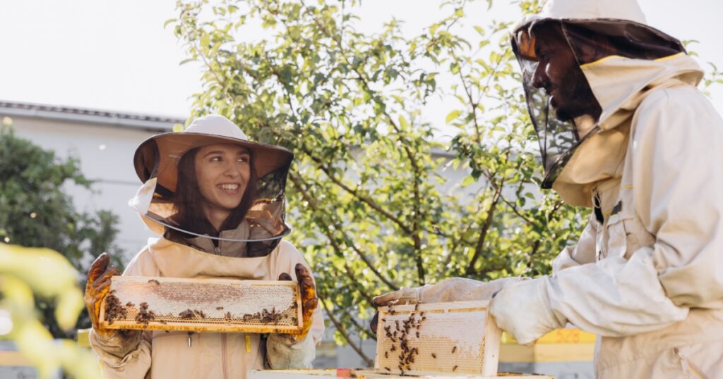 Two beekeepers smile while holding racks from NUC boxes that have bees on them